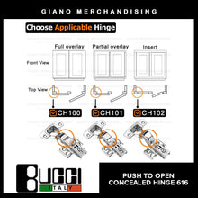 Load image into Gallery viewer, BUCCI Push to Open Concealed Hinges 616(2pcs/pack)
