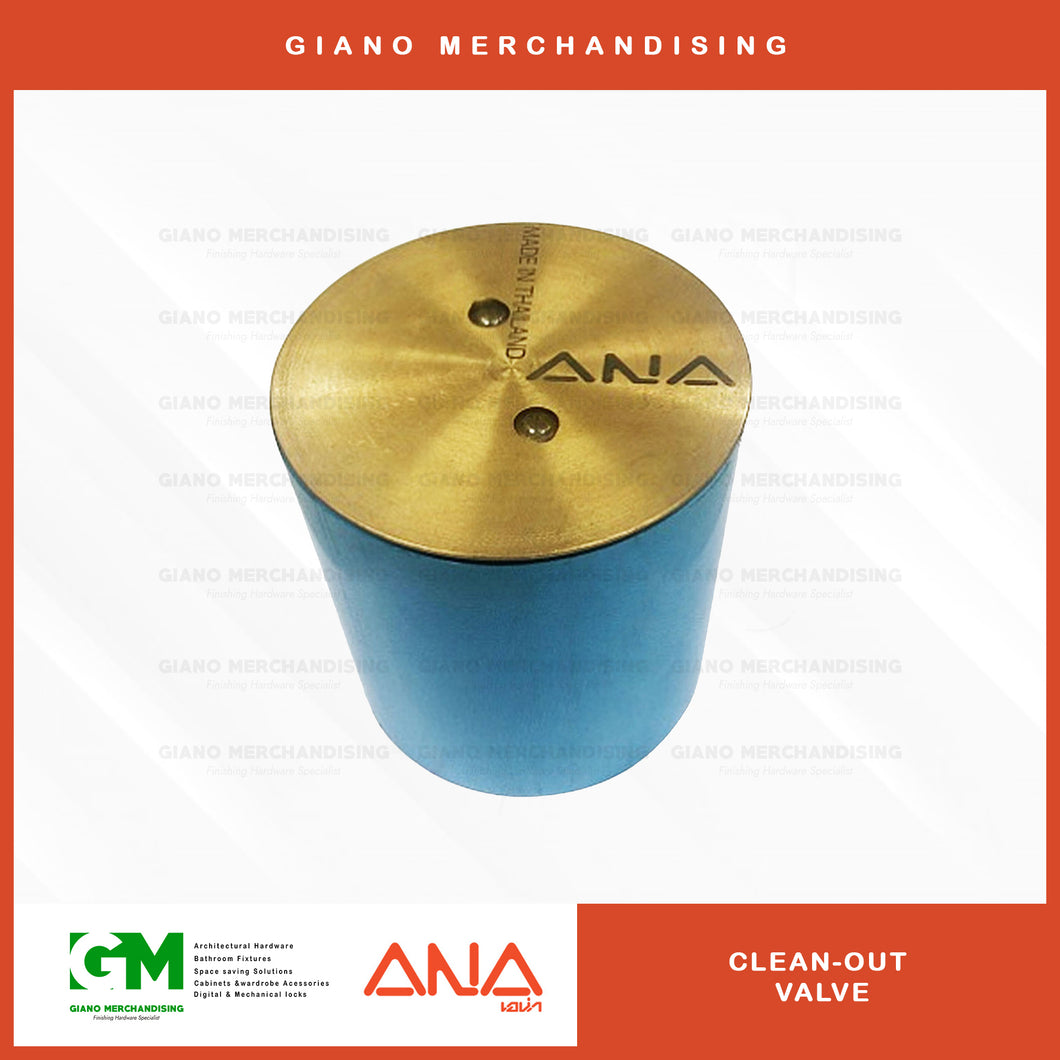 ANA Clean out Valve 4