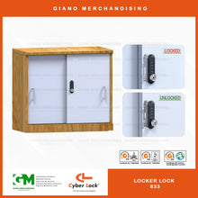 Load image into Gallery viewer, Cyber Locker Lock 833
