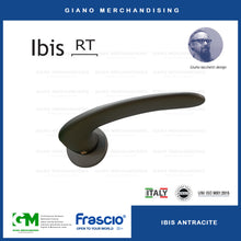 Load image into Gallery viewer, FRASCIO IBIS RT (Mortisse Lockset)
